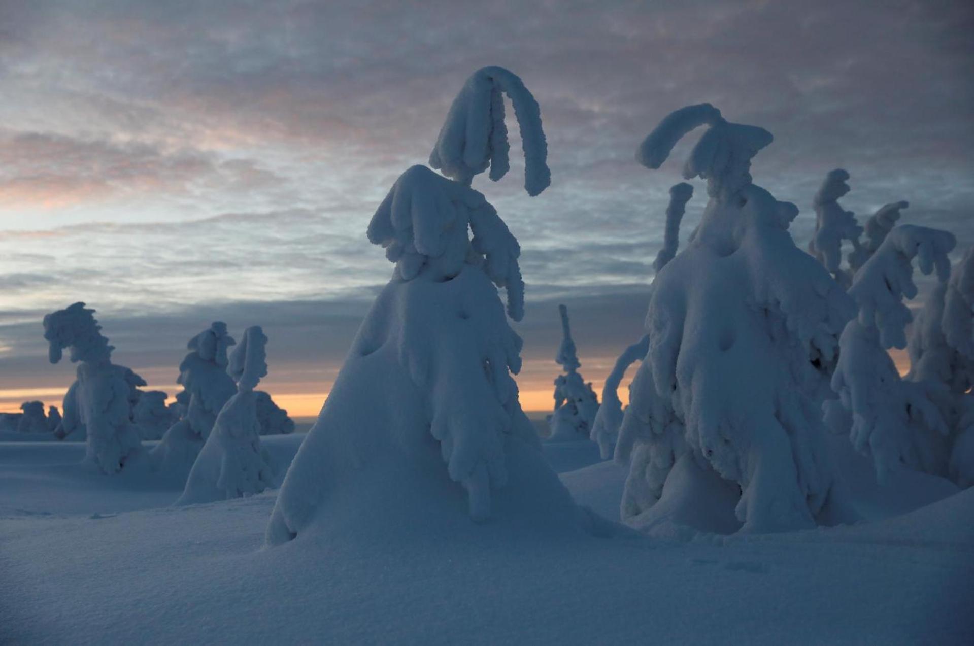 Chalet Alpinka Cerklje na Gorenjskem Bagian luar foto