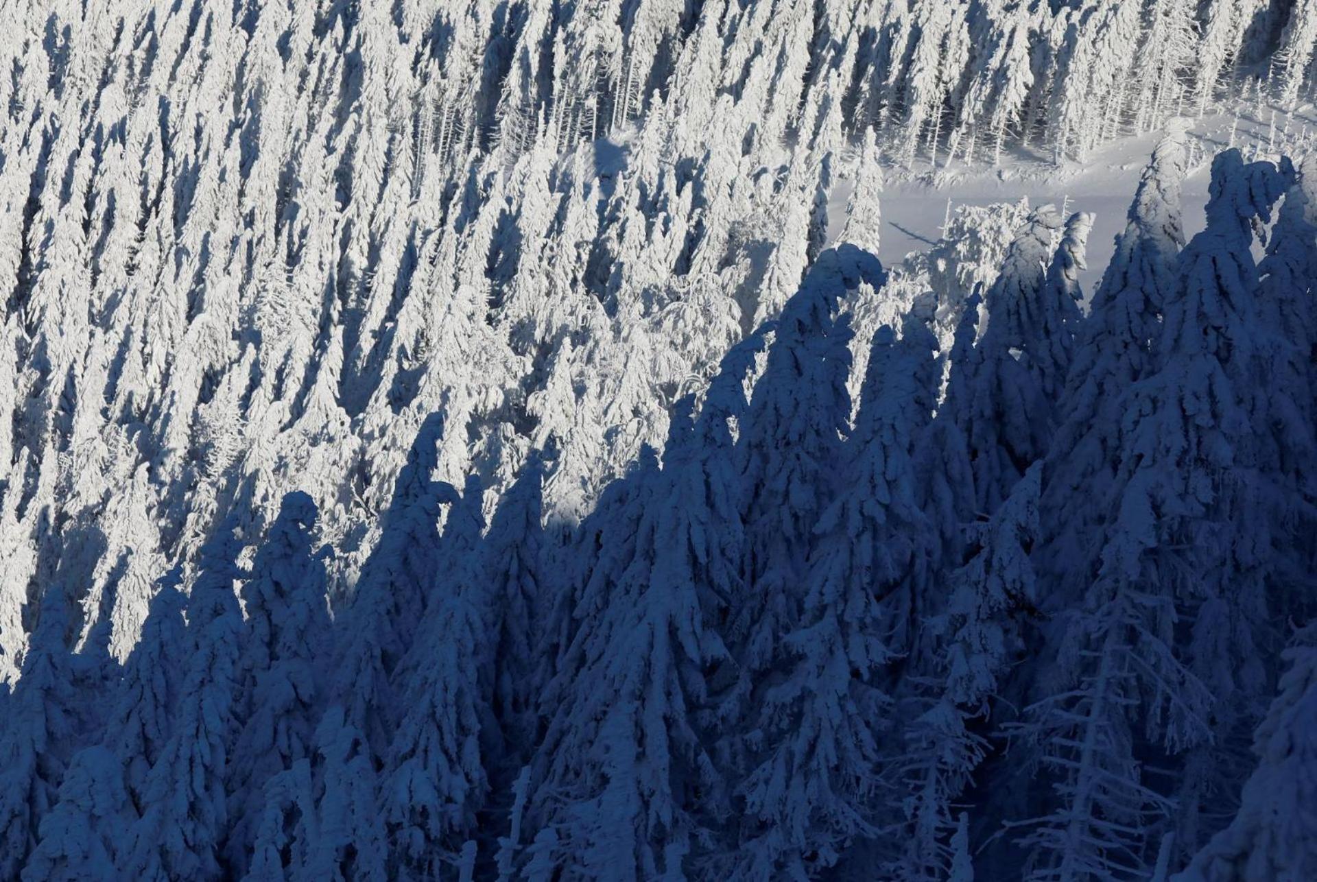 Chalet Alpinka Cerklje na Gorenjskem Bagian luar foto